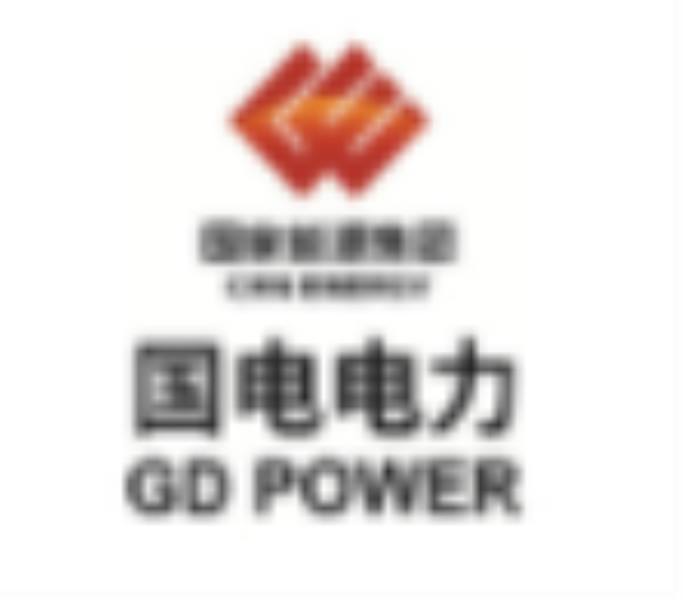国电电力